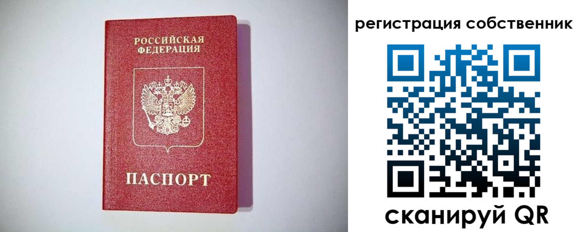 временная регистрация для школы в Шадринске